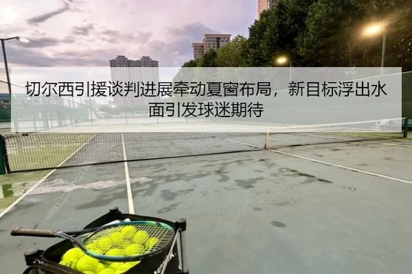 切尔西引援谈判进展牵动夏窗布局，新目标浮出水面引发球迷期待